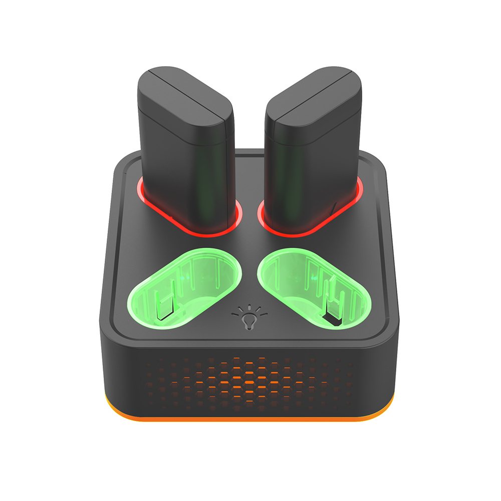 TYX-5602  Battery Charger